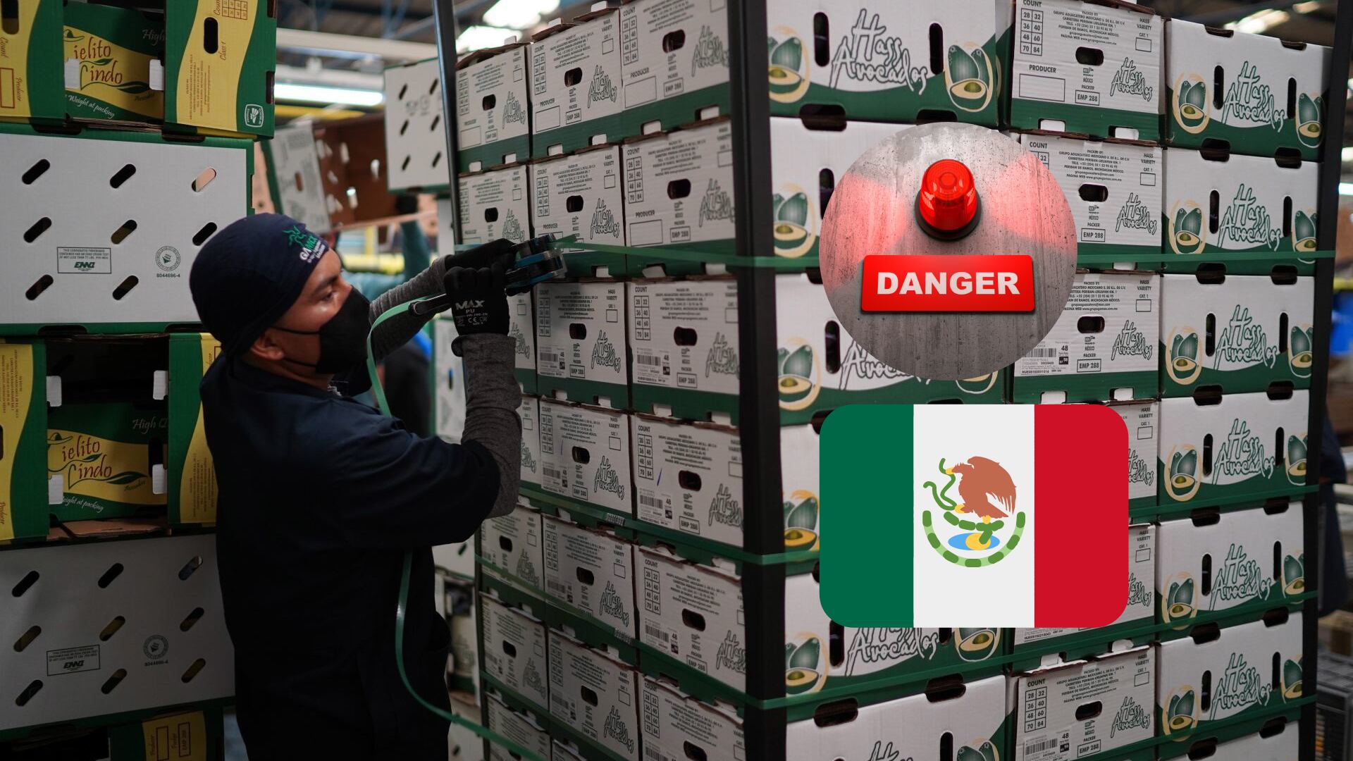 La recesión significa desempleo, menos ingreso y pérdida del poder de compra para los hogares.