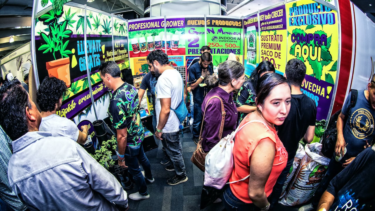 Expoweed feria de la cannabis
