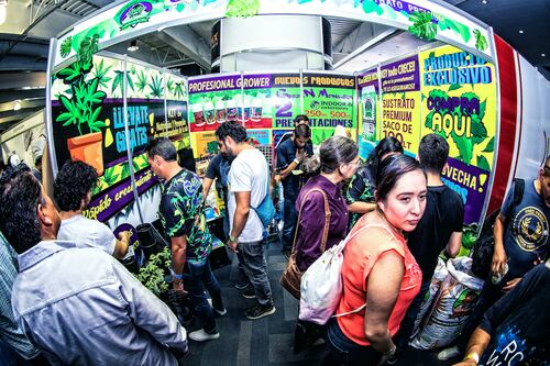 Feria de la cannabis CDMX: fecha, lugar y cartelera cultural