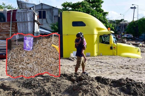 Guerrero padece desabasto de tamarindos y mango Ataulfo, ¿ve a qué se debe?