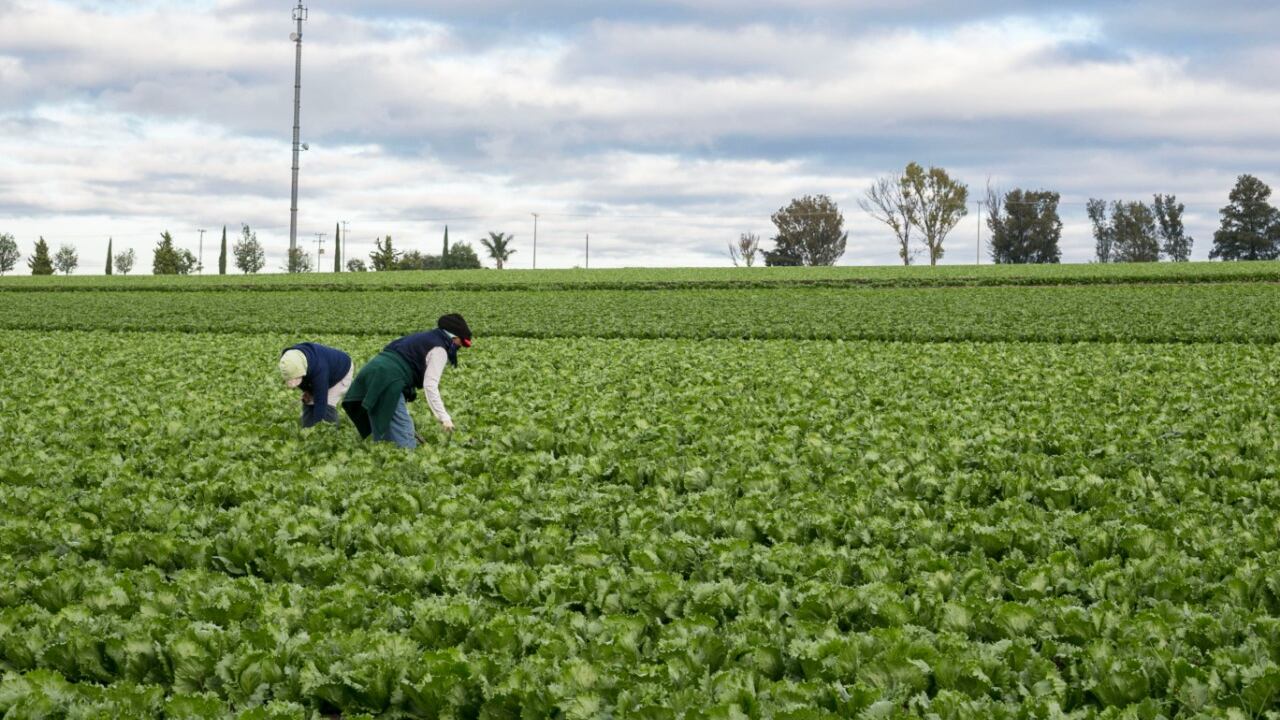 Los programas se darán a conocer en agosto o septiembre. (Cortesía)