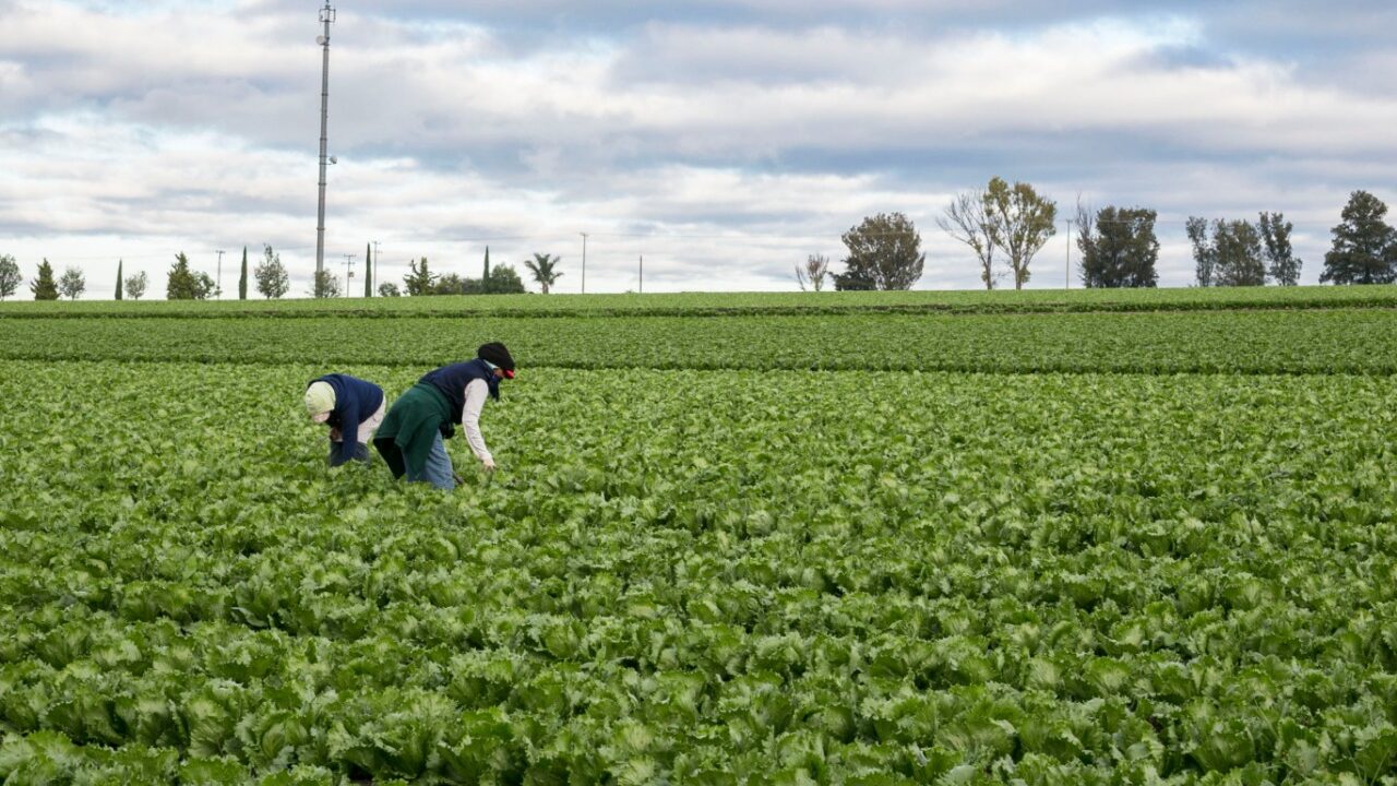 Los programas se darán a conocer en agosto o septiembre. (Cortesía)