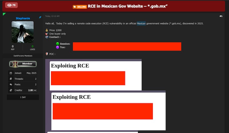 La venta de accesos a sitios .gob.mx evidencia la fragilidad de la ciberseguridad gubernamental.