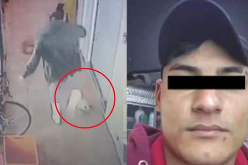 ¡Imágenes sensibles! Sujeto asesina a patadas a un gato en Ecatepec; autoridades ya lo buscan