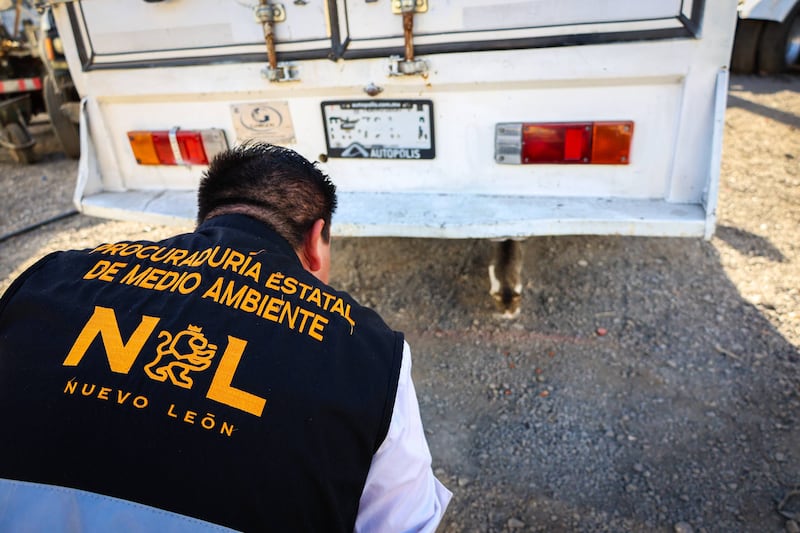 Presuntamente en el lugar se atentaba en contra de felinos.
