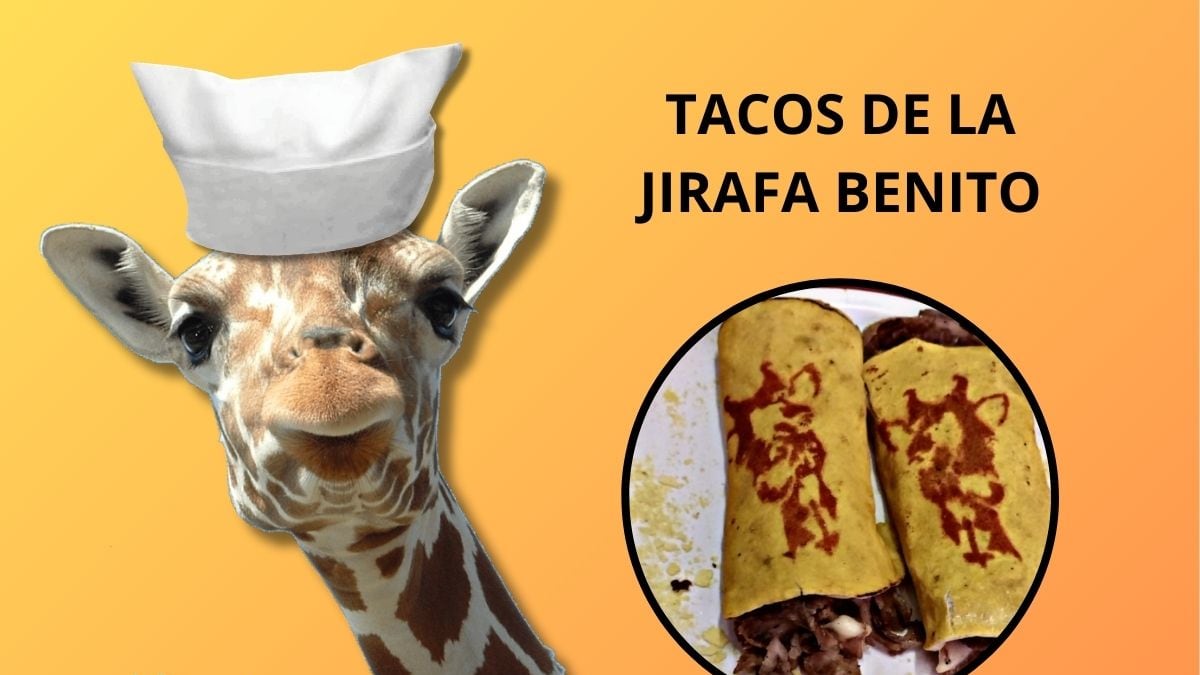 Beni Taco: Crean tacos de la jirafa benito en Puebla
