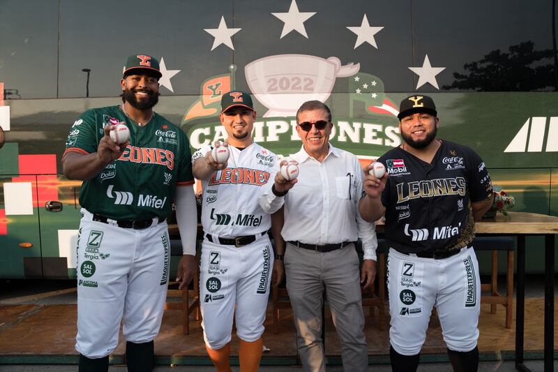 Leones de Yucatán