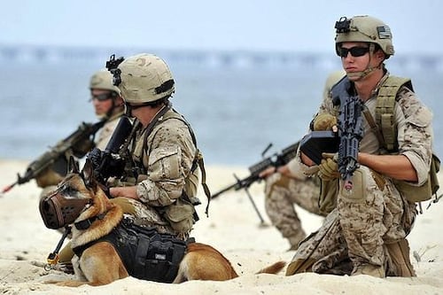 Navy SEALs de EE.UU. podrían operar en territorio México con aval del Senado