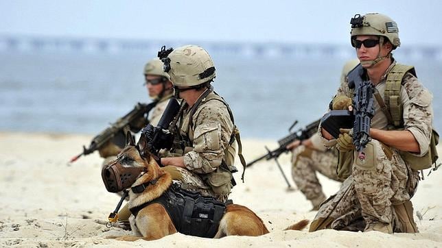 Fuerza de Operaciones Especiales Navy SEALs