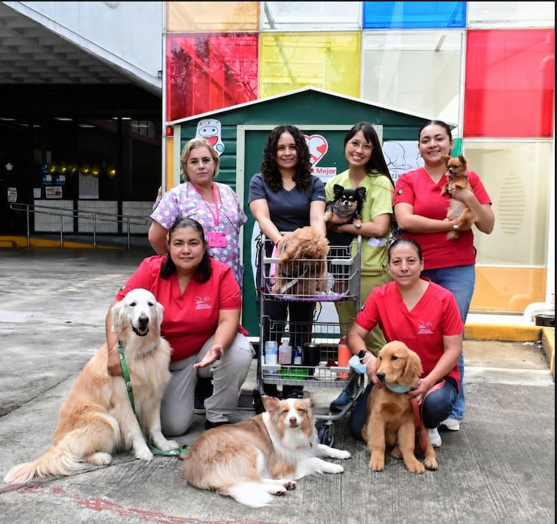 Perros brindan apoyo terapéutico en el INP