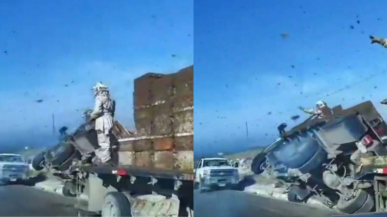 Camión que transportaba abejas se vuelca