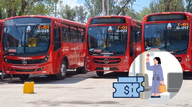 IMAGEN ILUSTRATIVA/ SECRETARÍA DE TRANSPORTE/ ESPECIAL/ CANVA