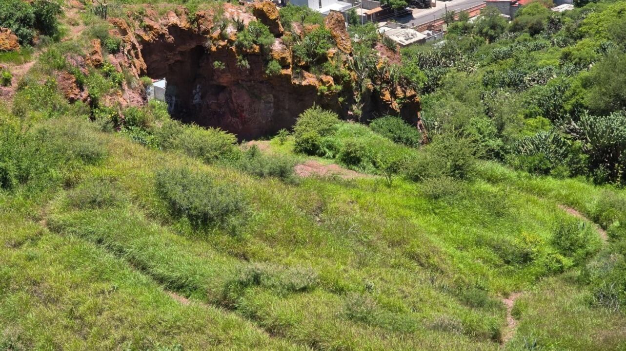 Área natural protegida.