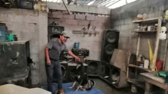 Don Fito y su familia viven en un terreno de 300 metros cuadrados en el municipio de Temamatla, Estado de México, el resto lo han dejado para los 34 lomitos.