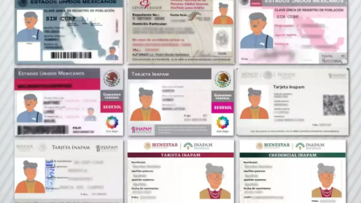 Los adultos mayores de 60 años pueden acceder a beneficios y descuentos. (Especial)