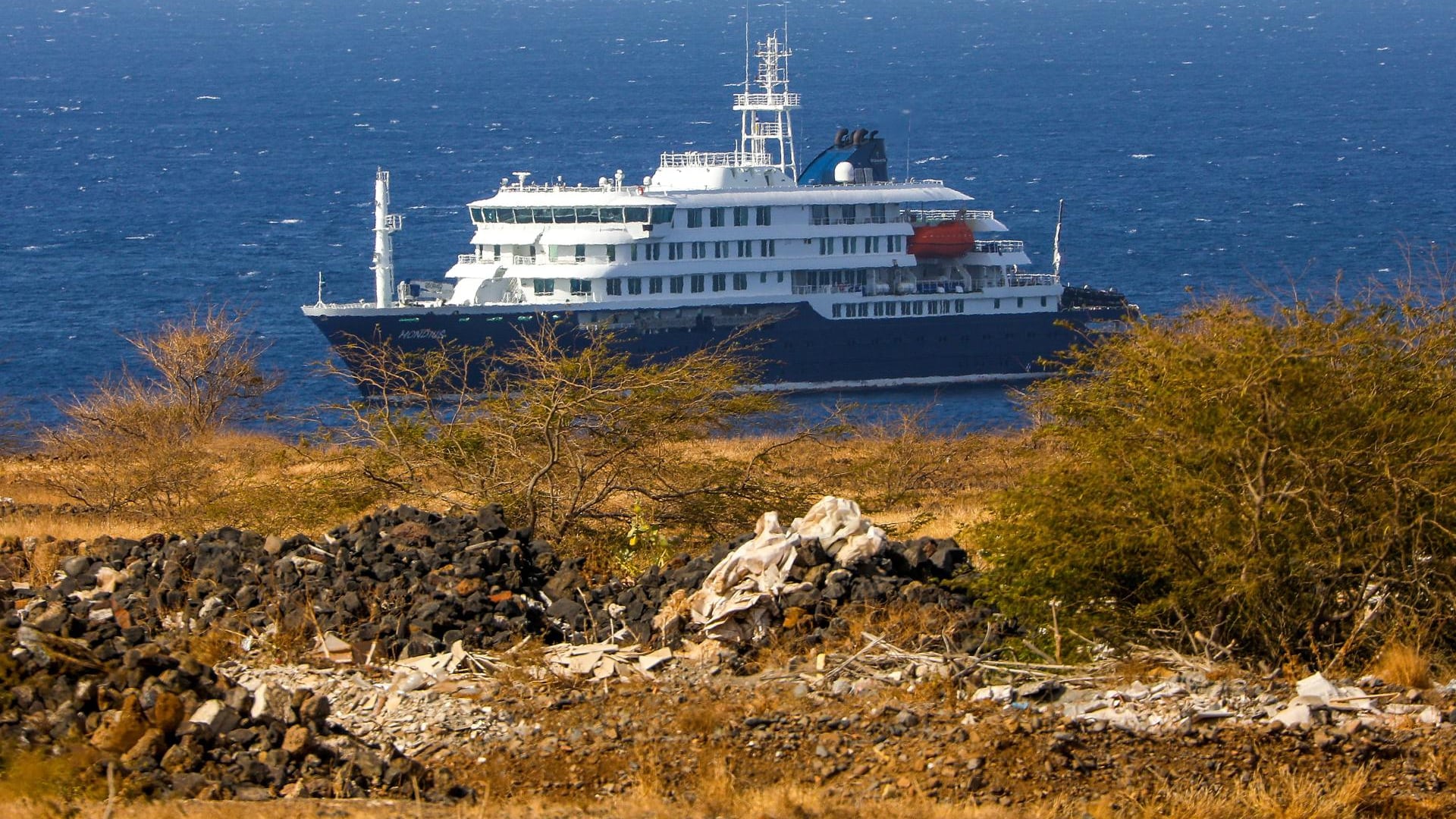 Clavijo: El crucero afectado por hantavirus "debe ser atendido donde está"