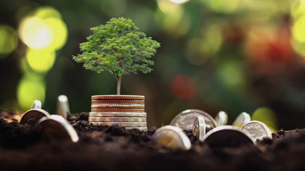 Economía circular; la nueva forma de vida sustentable