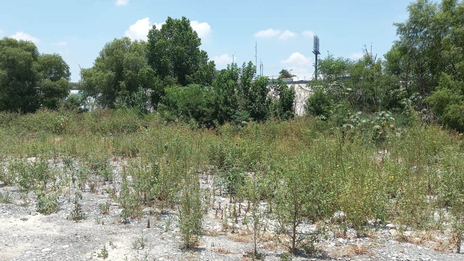 El desmonte comenzó de forma sorpresiva porque los funcionarios dijeron que no tenían una fecha.