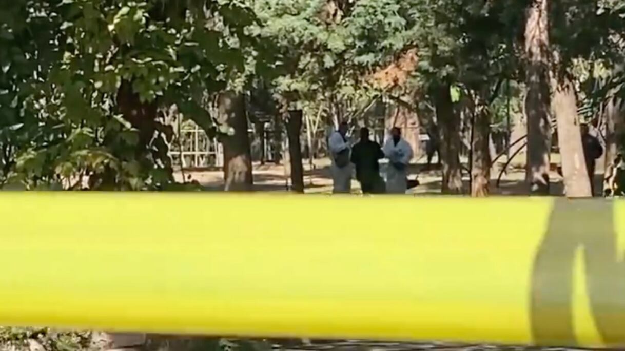 Hallan cuerpo sin vida en Chapultepec.