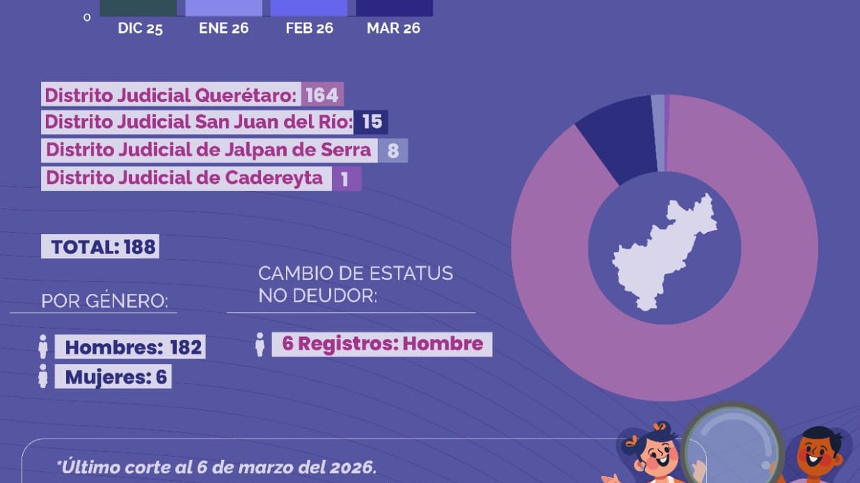 Solo 3% de los deudores registrados en el RNOA han cumplido con obligación.