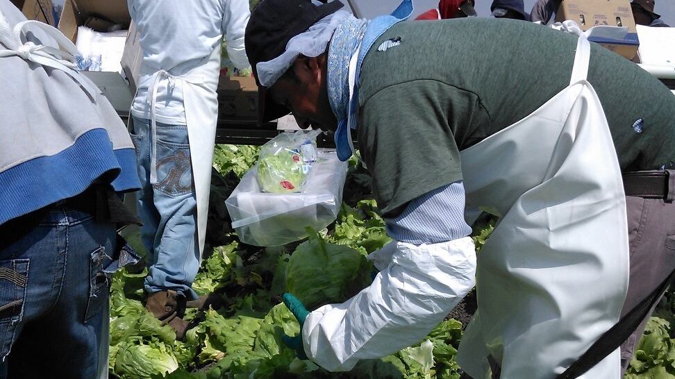 Estados Unidos, Canadá, Colombia, Brasil y China, son los países adonde más productos guanajuatenses llegan.
