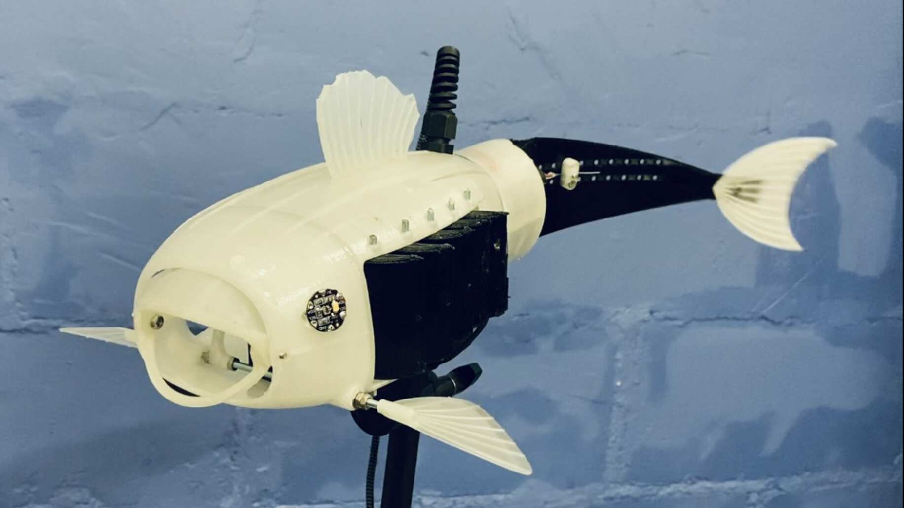 El pez robot llamado Gilbert