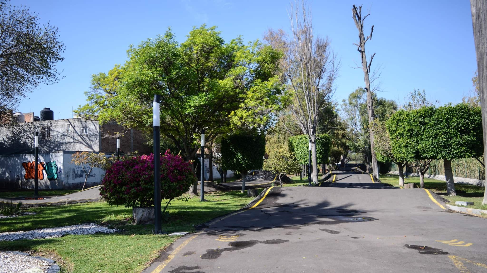 Buscan decretar los Alcanfores como Área Natural Protegida