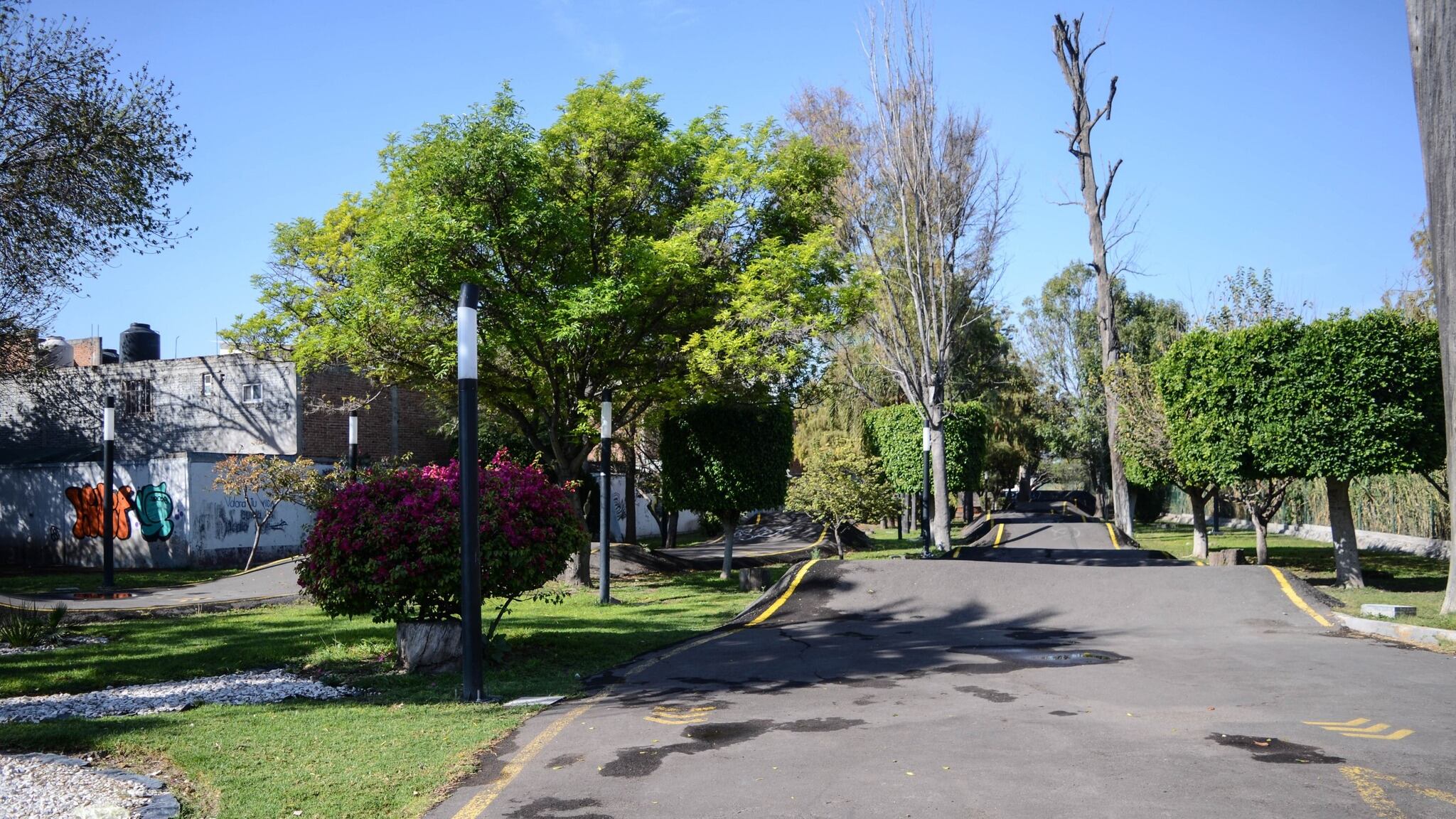 Buscan decretar los Alcanfores como Área Natural Protegida