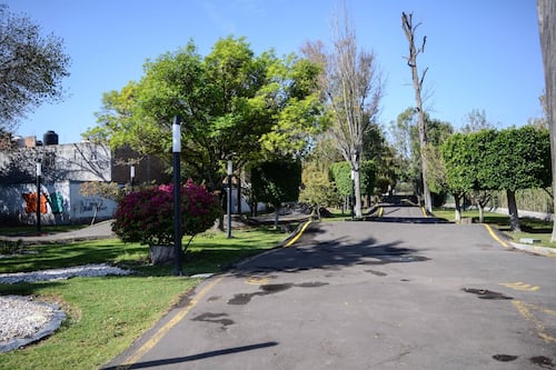 Buscan decretar los Alcanfores como Área Natural Protegida