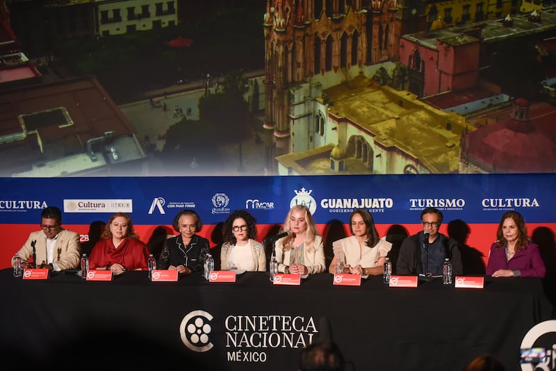 Carlos Carrera, Ana Martín y Verónica Castro serán homenajeados en Guanajuato