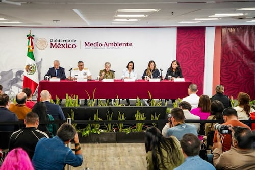 ¿Qué causó el derrame de petróleo en el Golfo de México? Esto reveló el Gobierno