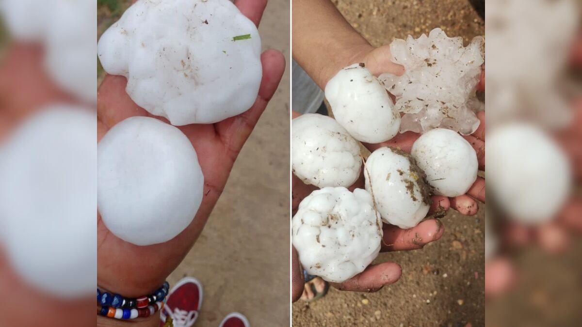 Se aprecia el tamaño de las bolas de hielo que cayeron en Anáhuac.