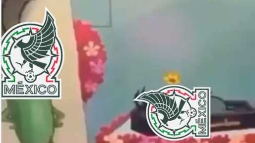 Memes Selección mexicana