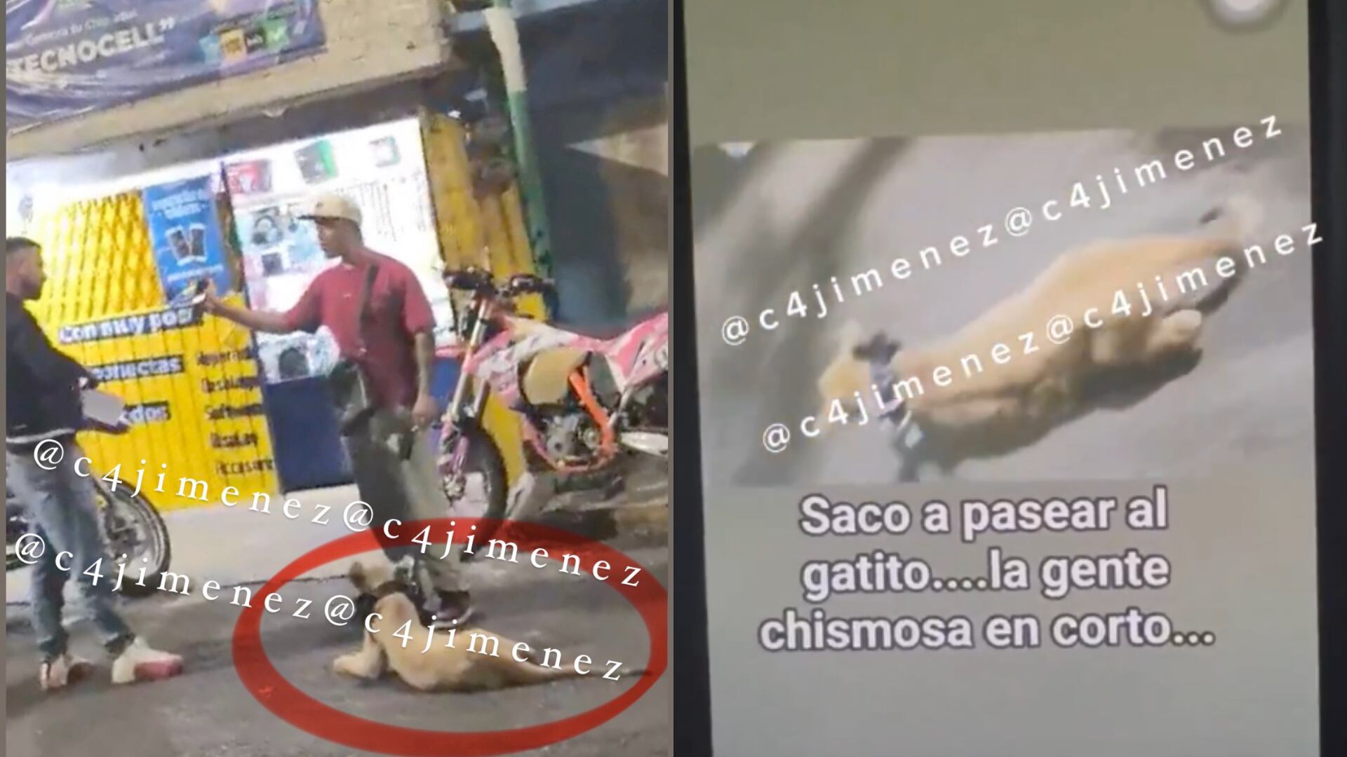 leona, esta vez en Instagram