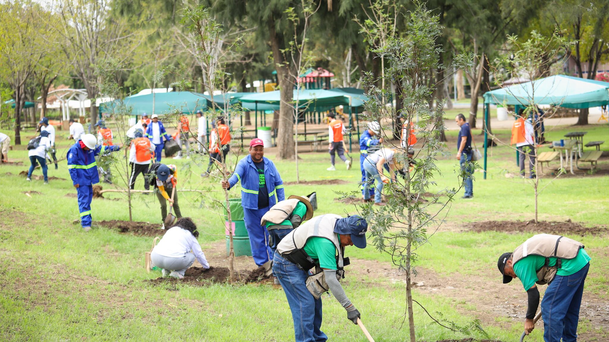 Ciudadanos y brigadas ambientales participaron en la primera jornada de reforestación en el Parque Explora.