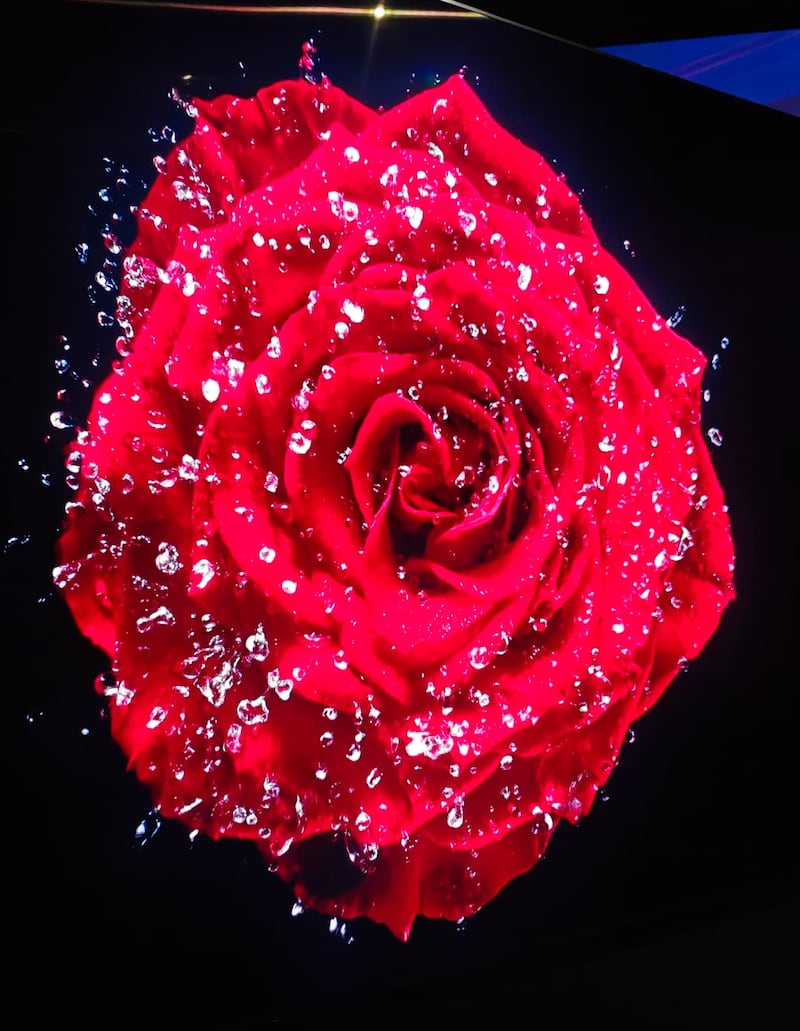 Desde nuevas pantallas RGB y SQD Mini LED hasta tabletas enfocadas en productividad, Fernando Alba, vicepresidente de TCL Electronics México, detalla los lanzamientos clave que la marca presentó en el CES 2026