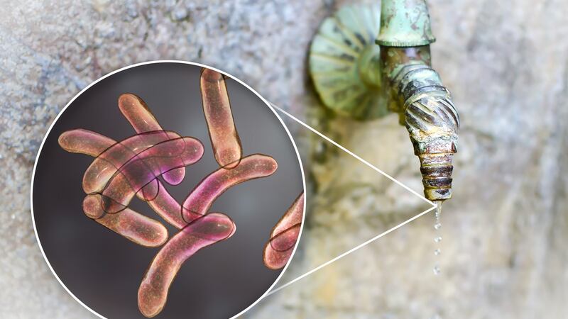 cólera (imagen ilustrativa)