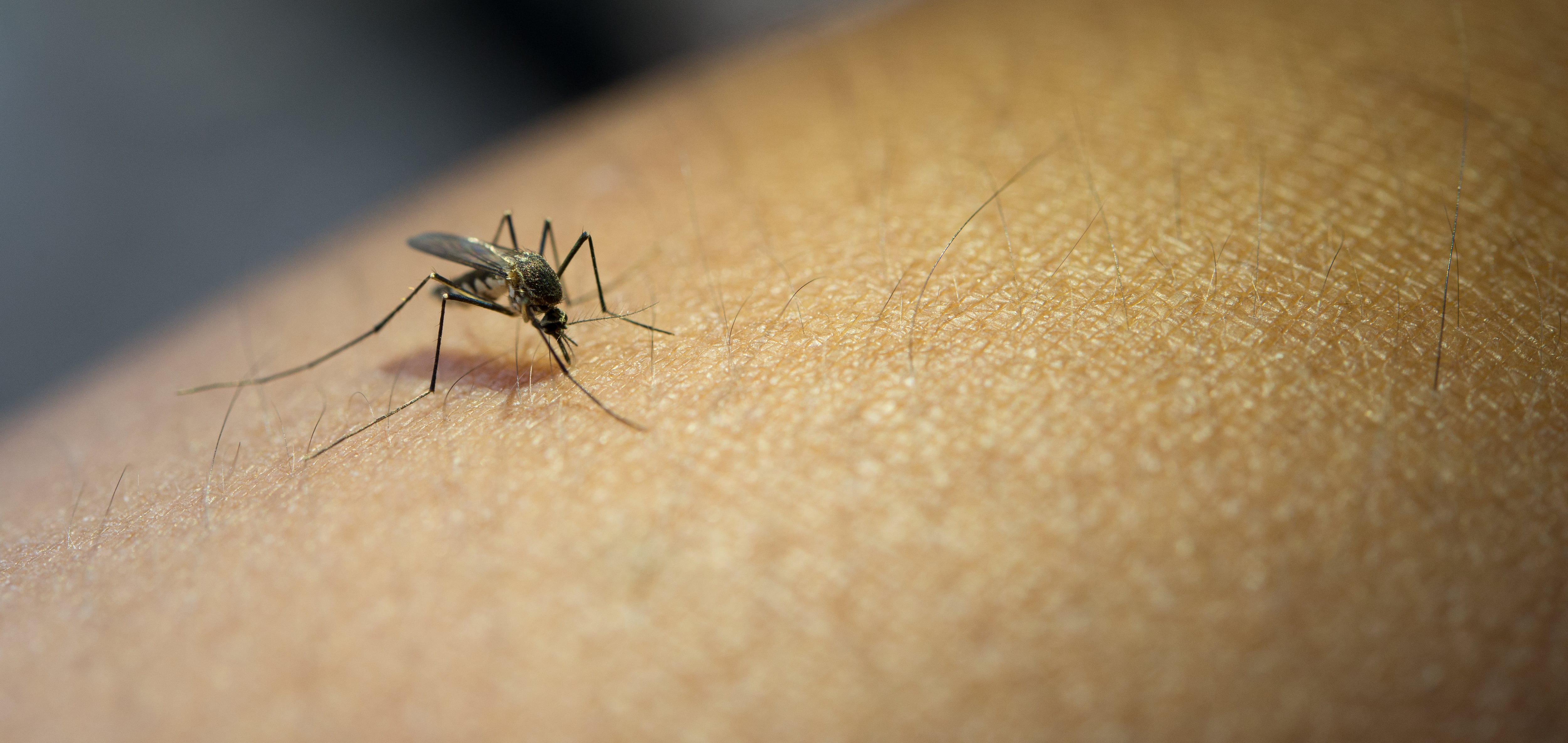 Firman en DC impulso financiero para luchar contra la malaria