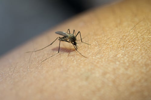 Firman en DC impulso financiero para luchar contra la malaria