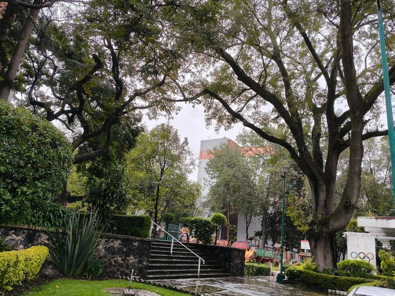 cdmx