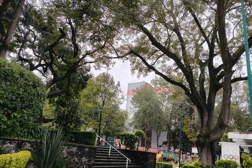 Robo, corrupción y caos: denuncian nuevo “truco legal” para tomar control de condominios en CDMX