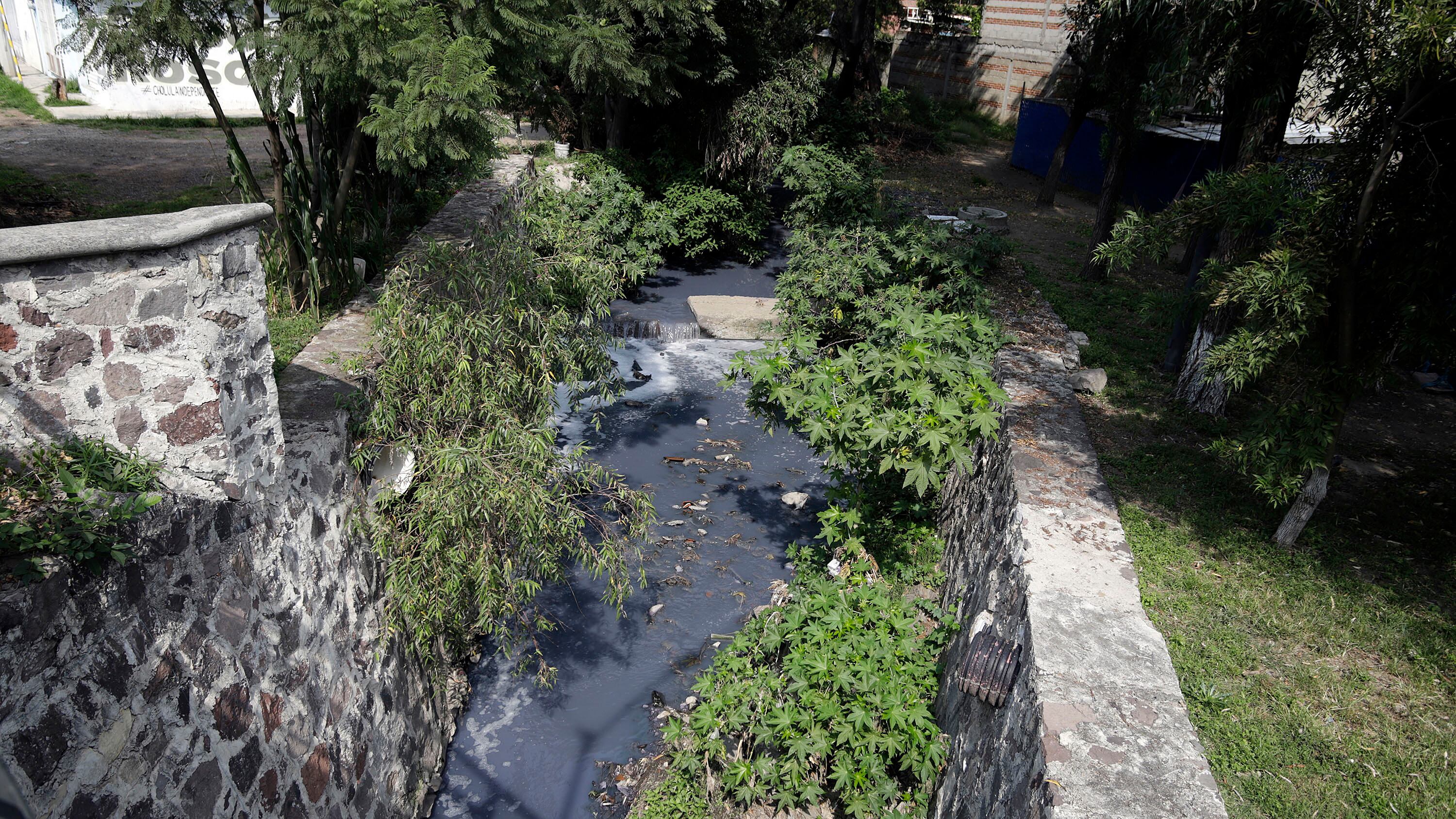 FOTO: Agencia Enfoque