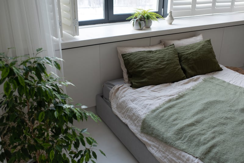 Plantas dentro de la casa