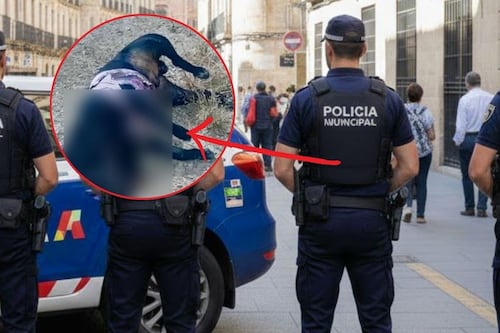 ¡Insólito! Investigan a policías por la muerte a balazos de perros en Zacatecas