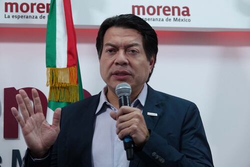 Morena renovará su dirigencia nacional, suenan al menos cinco perfiles