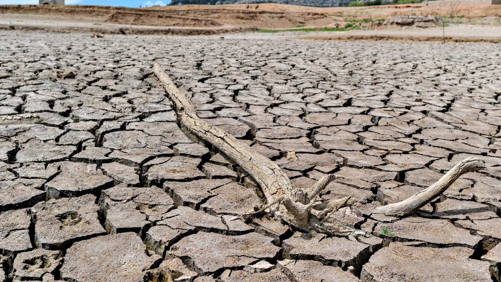 Sequía en Querétaro