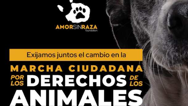 La marcha ciudadana por el derecho de los animales será el próximo 25 de junio.