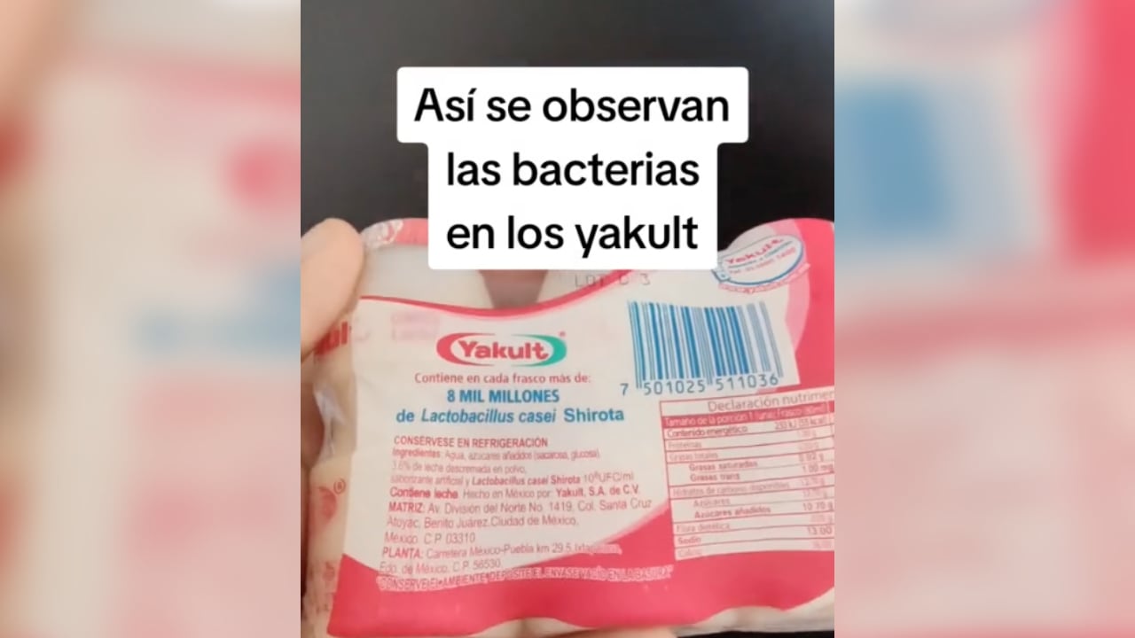 Yakult-bajo-el-lente-de-un-microoscopio