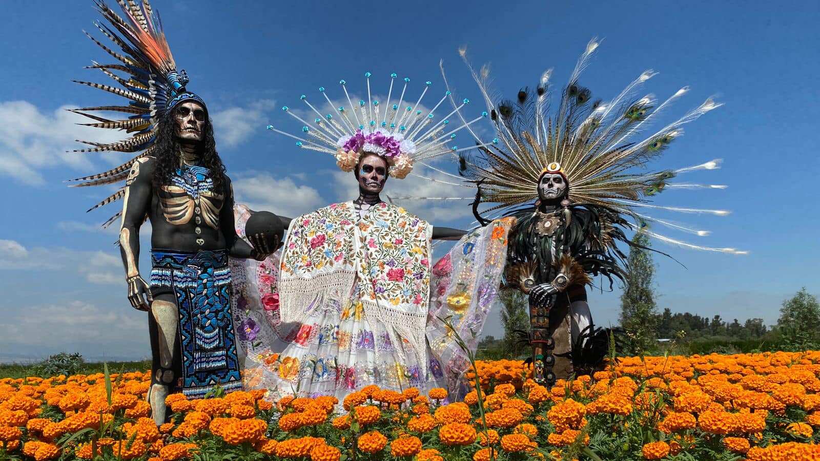 Flor de cempasúchil