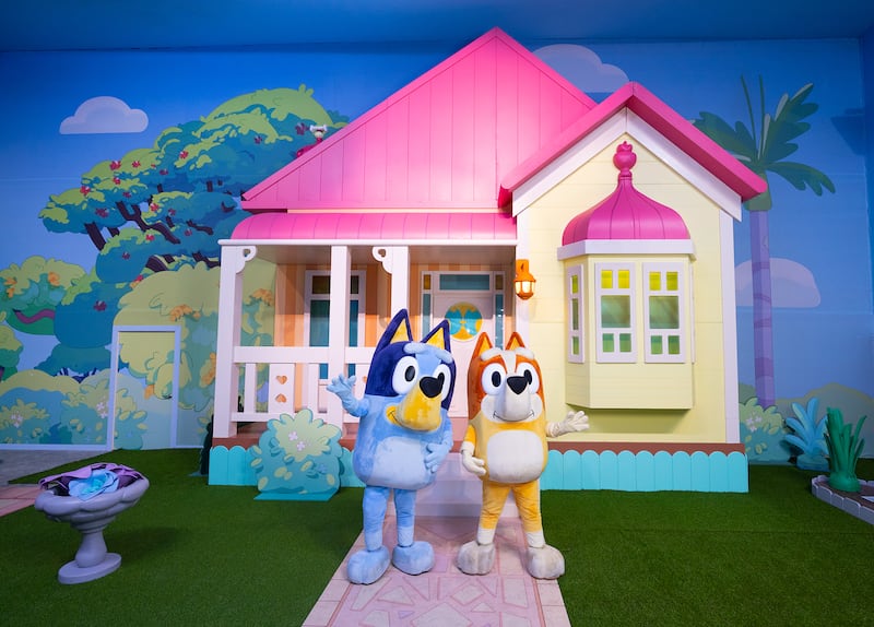 Experiencia inmersiva